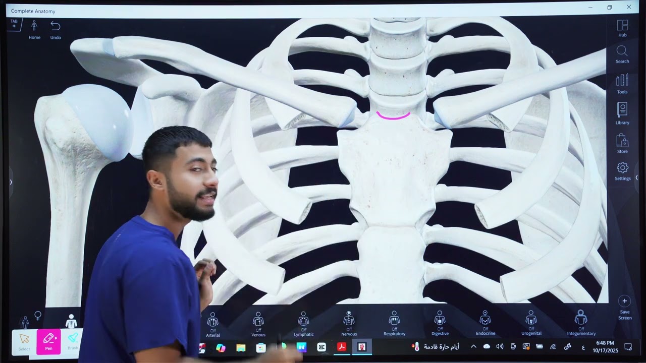 Bones of upper limb | Thoracic cageتشريح القفص الصدري 