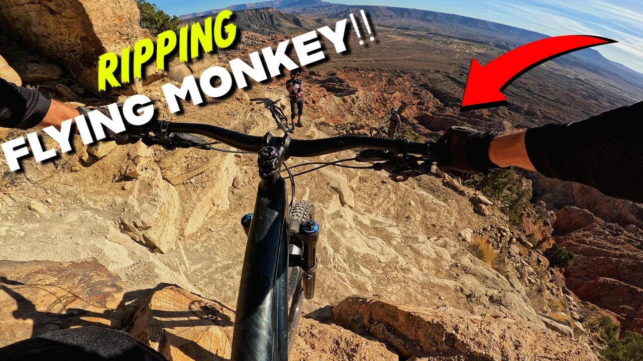 Flying Monkey - November 2025