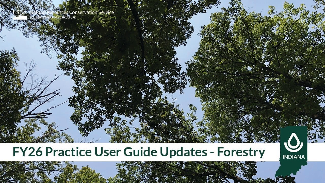 FY26 Indiana NRCS & Practice User Guide Updates - Forestry