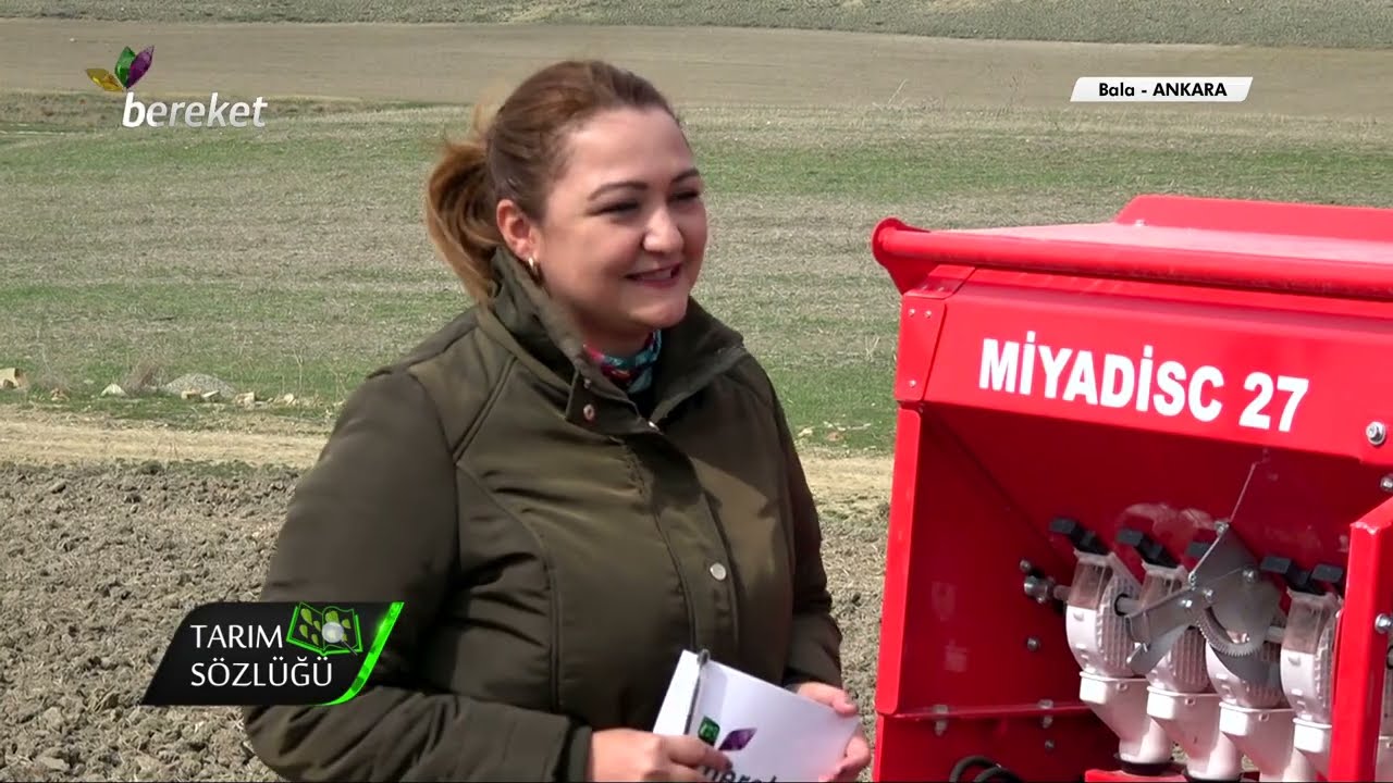 Tarım Sözlüğü - Kimyon Yetiştiriciliği