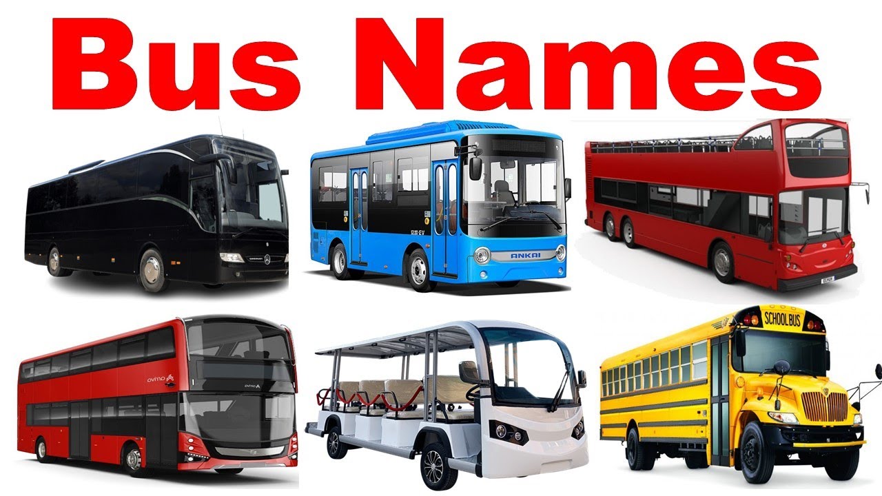 bus names | types of bus | types of buses | bus names in English | bus collection |vehicles for kids