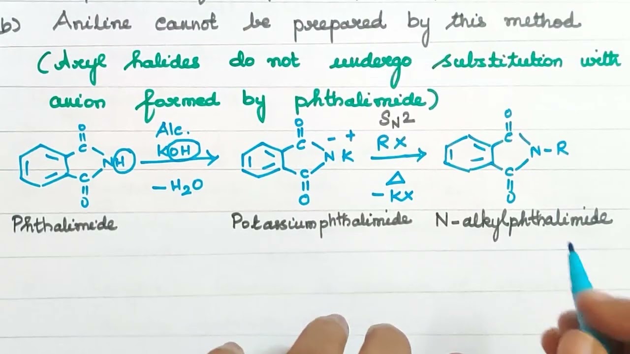 Book Exercise 6(iii)/Gabriel Phthalimide Synthesis/Explanation in Tamil/