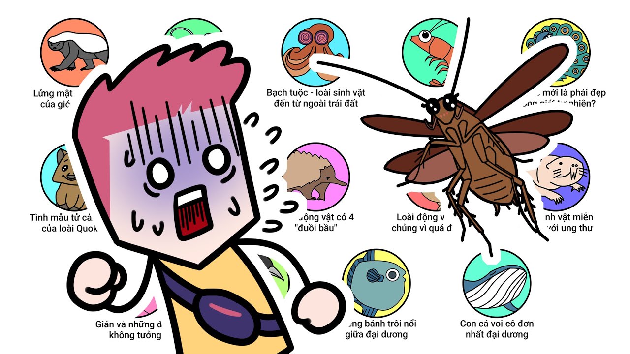 Những fact lmao nhất trong thế giới động vật (Phần 2)