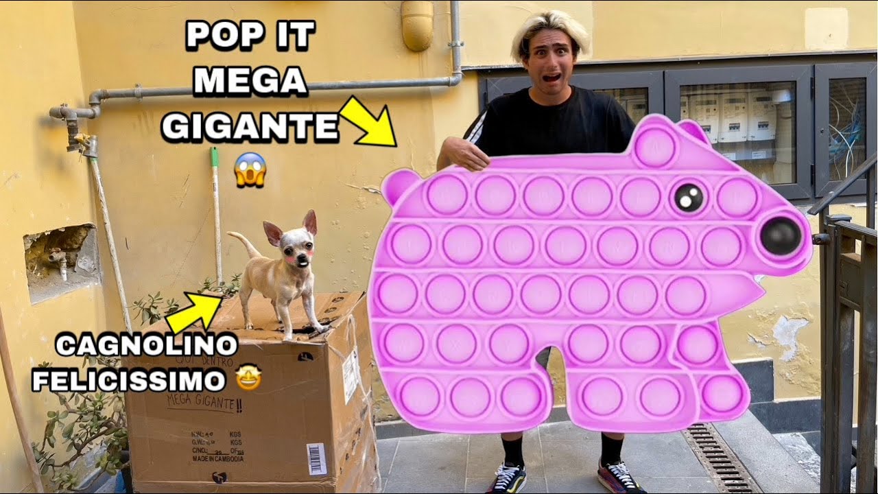 REGALIAMO UN FIDGET POP IT GIGANTE AL NOSTRO CAGNOLINO!! *si è emozionato*