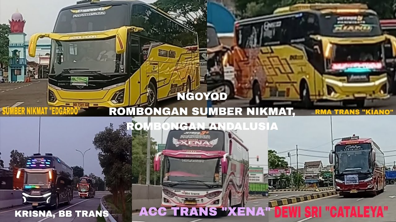 [ PASURUAN KEDATANGAN BANYAK BUS ARTIS!! ] HUNTING DAN NGOYOD ROMBONGAN SUMBER NIKMAT,ANDALUSIA, DLL
