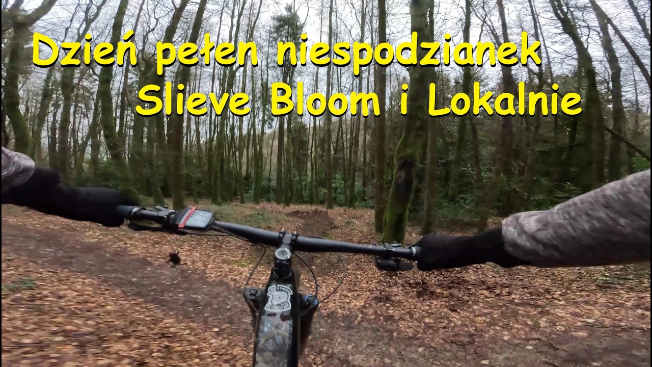 Dzień pełen niespodzianek - Slieve Bloom i Lokalnie