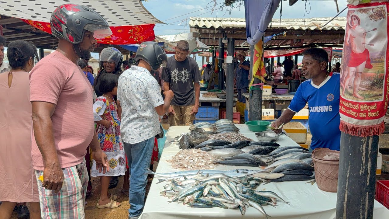 Biggest Fish Market Scene | Fresh Ocean Fish Arrival | Traditional Fish Selling & Bargaining