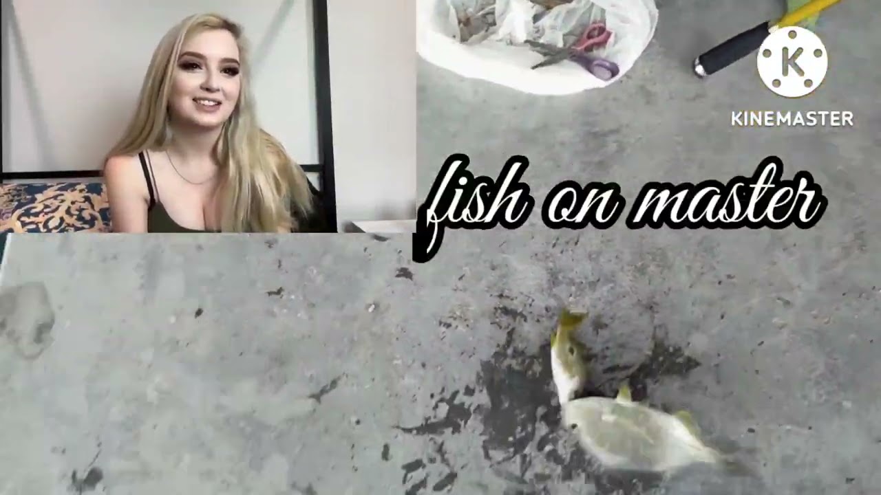 paboritong spot guy's abudhabi city UAE Helim family bingwiters group's fish on