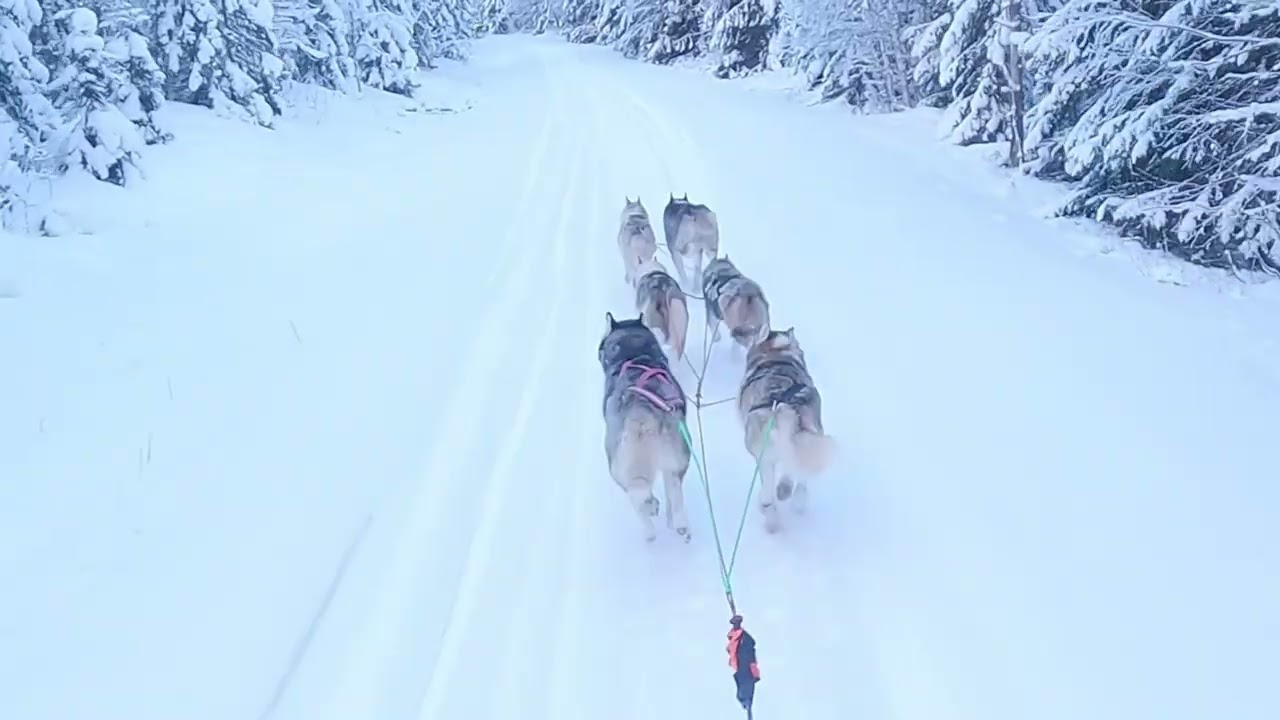 Talven ensimmäinen rekiajelu.