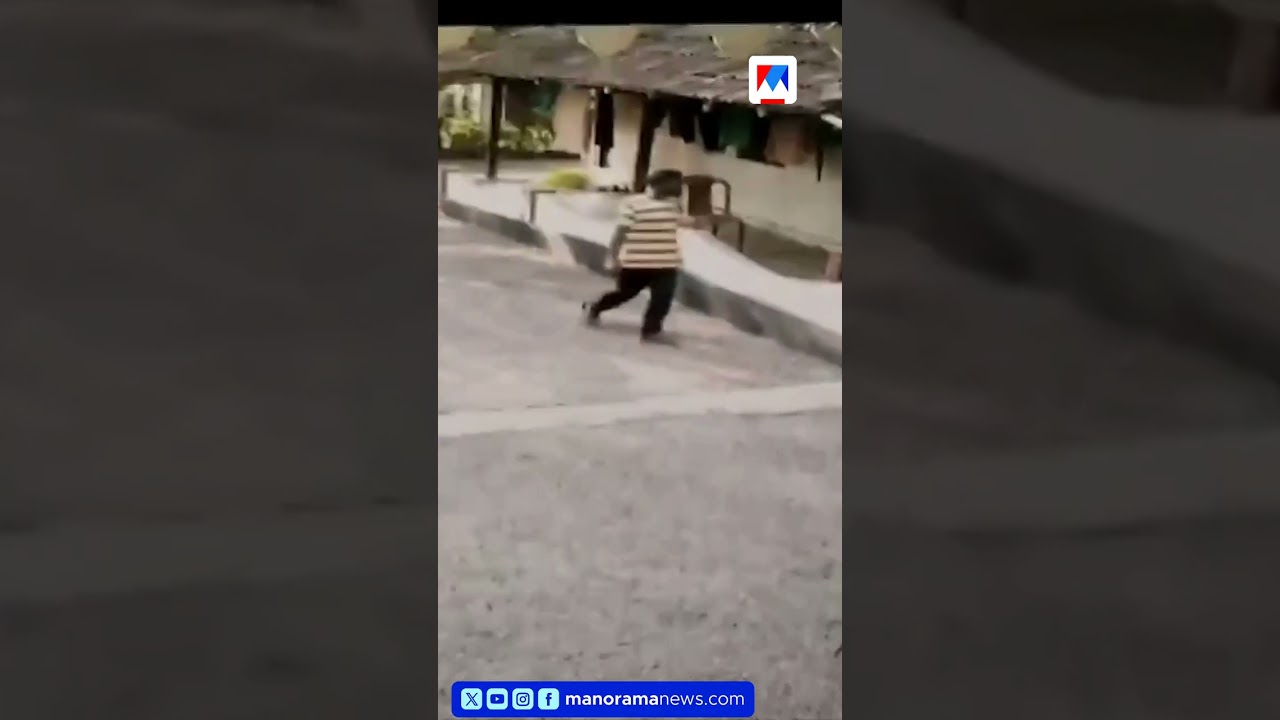 പാചക വാതക സിലിണ്ടർ മോഷണം തുടർക്കഥയാകുന്നു; സിസിടിവി ദൃശ്യങ്ങൾ പുറത്ത് #theft #GasCylinderTheft #cctv