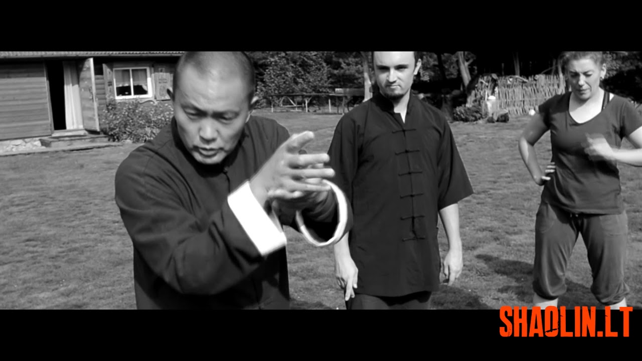 Traditional Shaolin Quan 传统少林拳 applications with Master Hu Zhengsheng 胡正生led