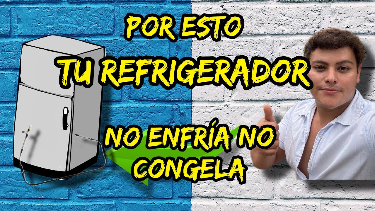 El exceso de hielo provoca la p&eacute;rdida de fr&iacute;o y congelamiento en la nevera