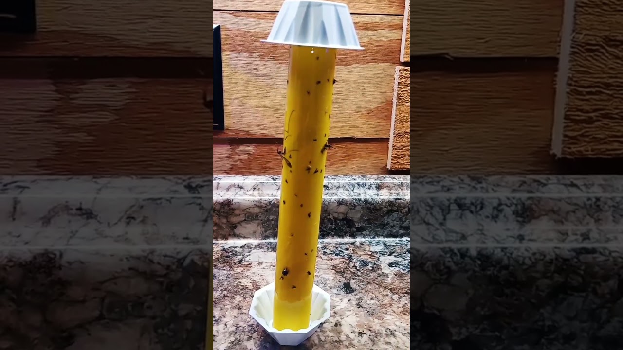 FREE K - AWESOME - PRODUCT - THIS WORKS - FLY      TRAP - STICKY TRAP 👍