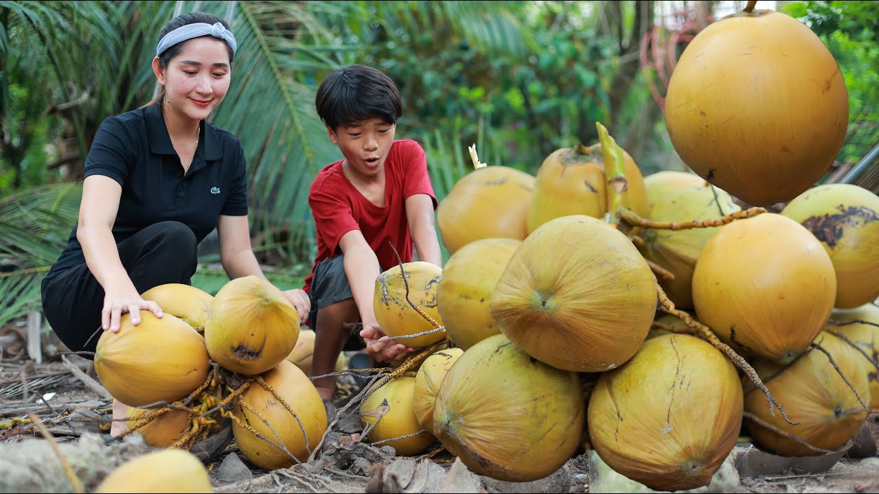 Harvest Fire Coconut for drinking and sweet | Have you try this coconut like this