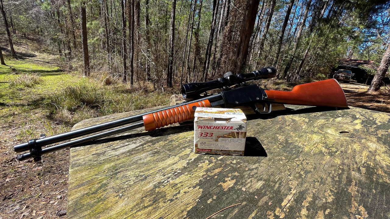 Rossi gallery .22lr wooden stock range test