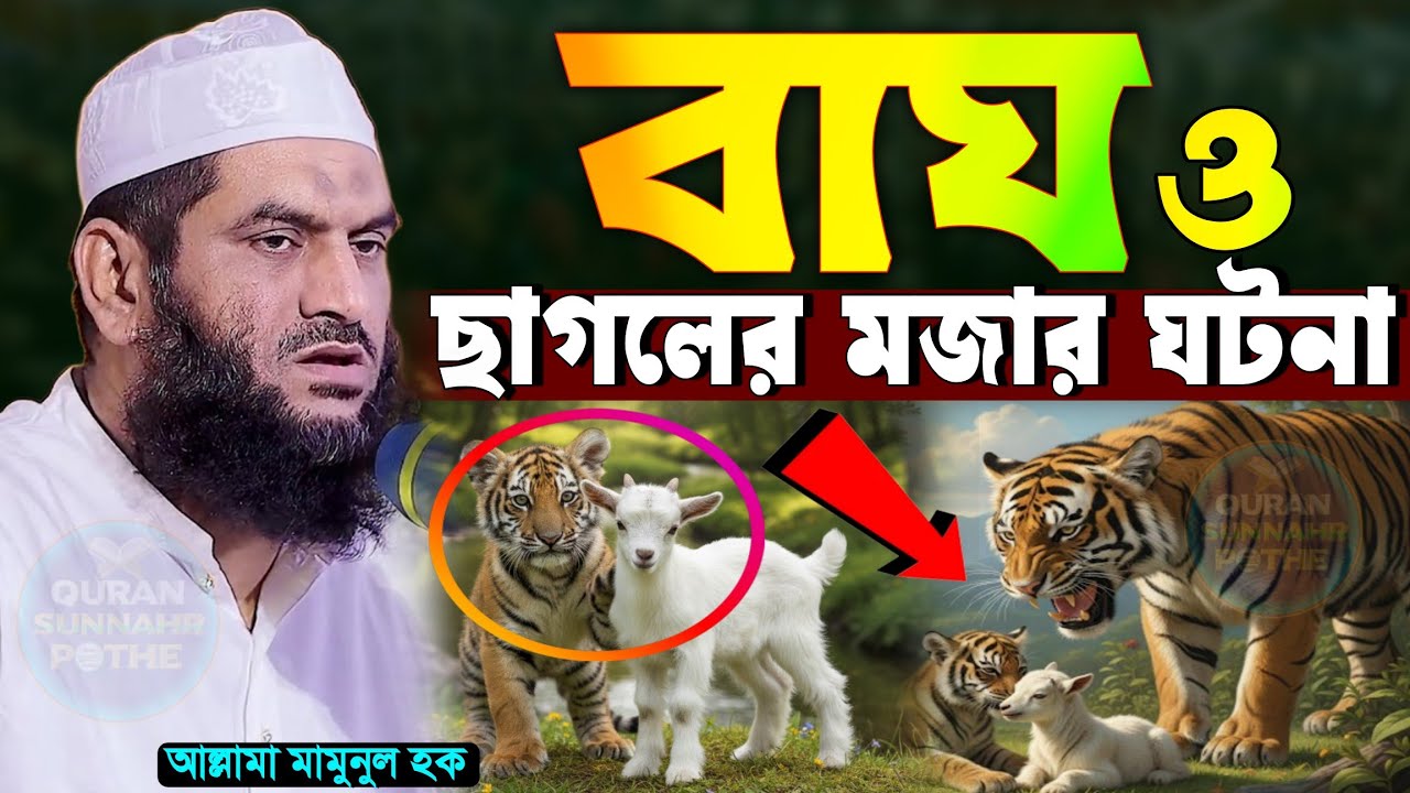বাগের বাচ্চা ও ছাগলের মজার ঘটনা মামুনুল হকের নতুন ওয়াজ ২০২৬ | মামুনুল হকের হুংকার, mamunul haque waz