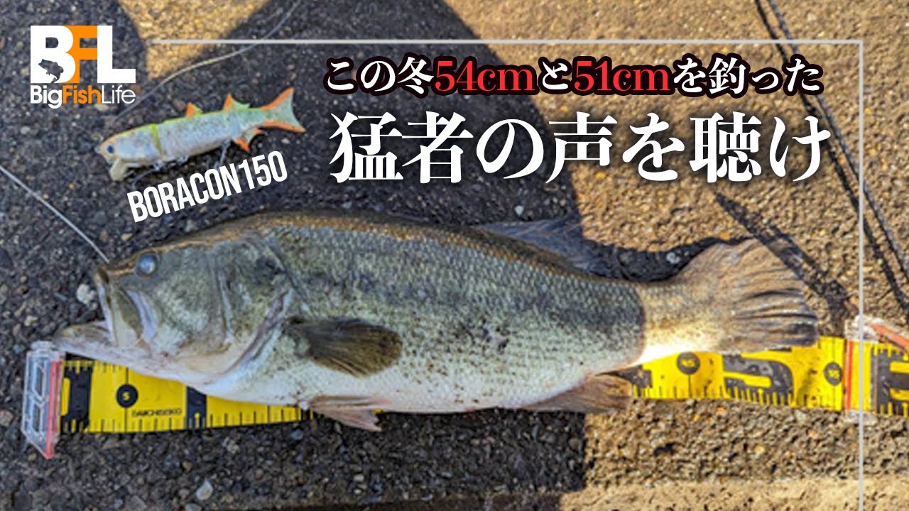 ボラコンでこの冬デカバス連発中の猛者に話を聞いてみた。