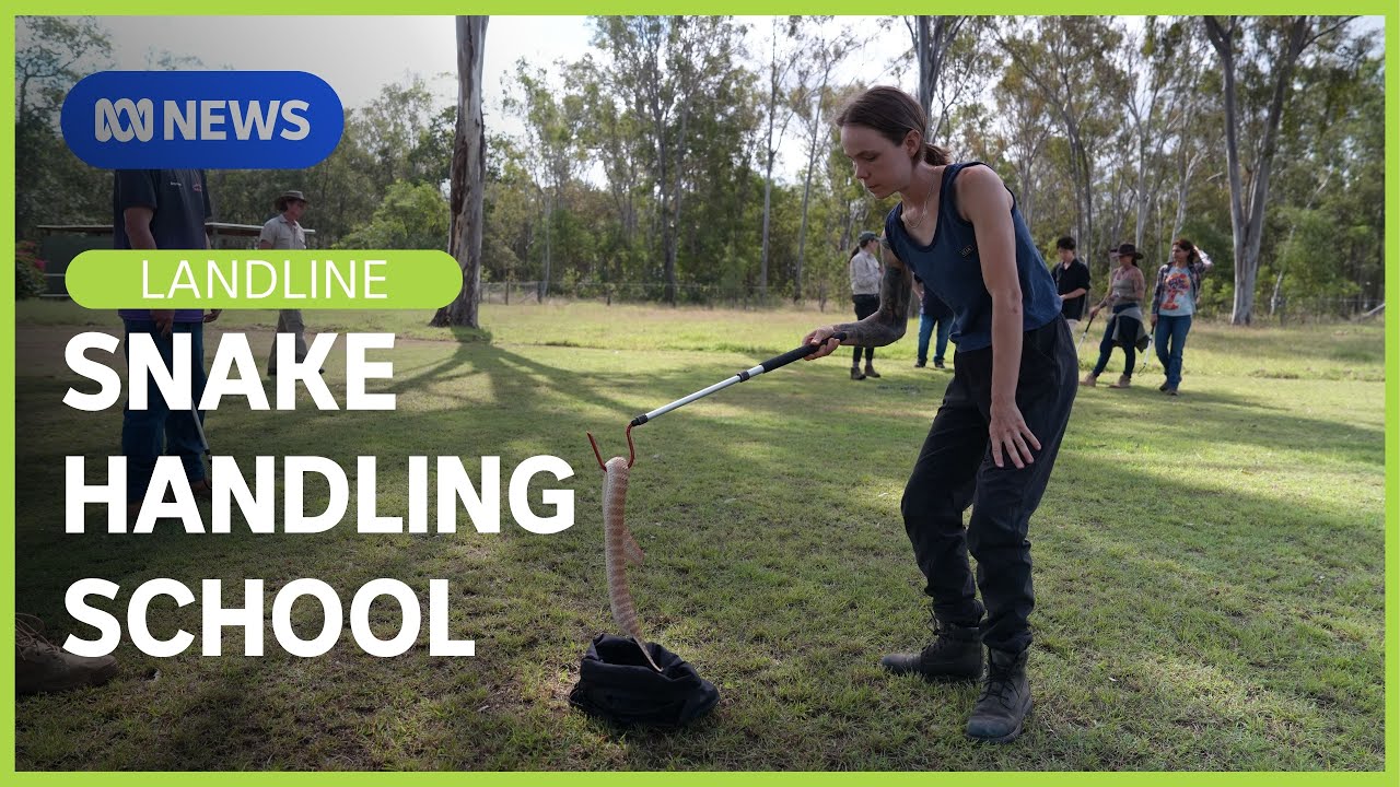 Snake Handling School: Coming to grips with snakes | Landline | ABC NEWS