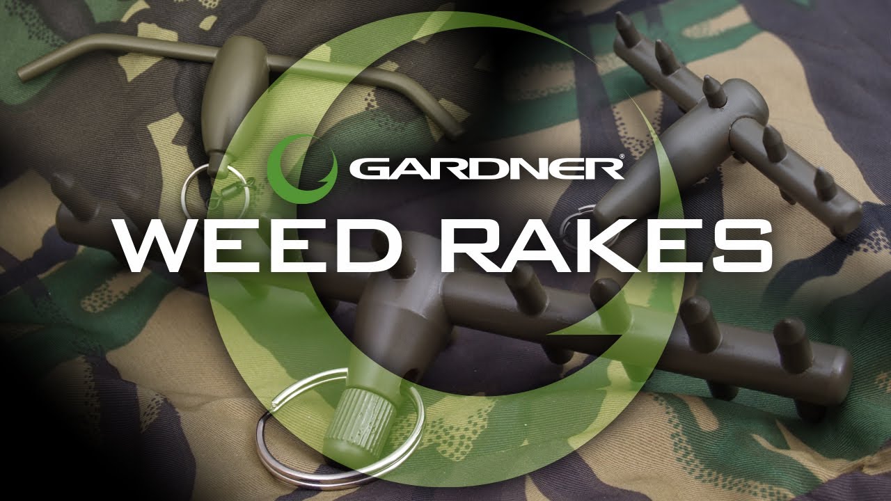 Carp Fishing How To Fish In Weed