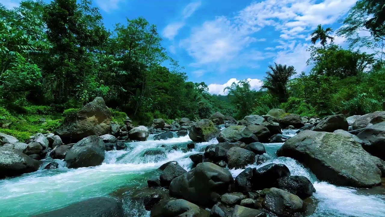 Relaxing Nature Sounds for Sleep, Calm Forest River and Waterfall to Help You Sleep Deep All Night
