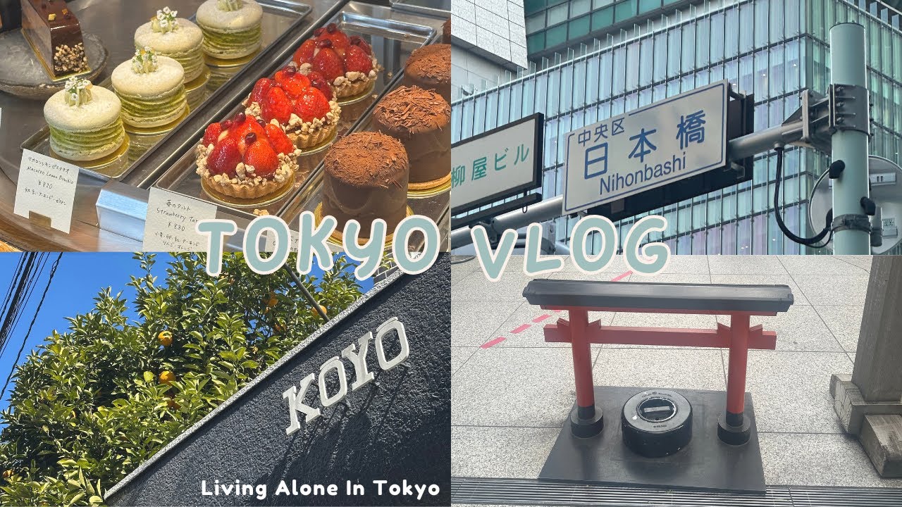 [TOKYO VLOG] 도쿄직장인의 도쿄적응기 | 입사한 지 한달, 도쿄에서 하는 첫 건강검진, 대청소 | Living alone in Tokyo