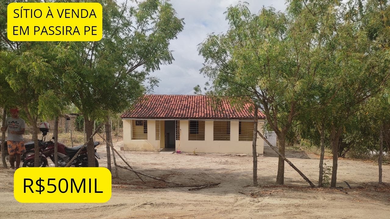 SÍTIO COM BASTANTE ÁGUA À VENDA EM PASSIRA PERNAMBUCO R$50MIL