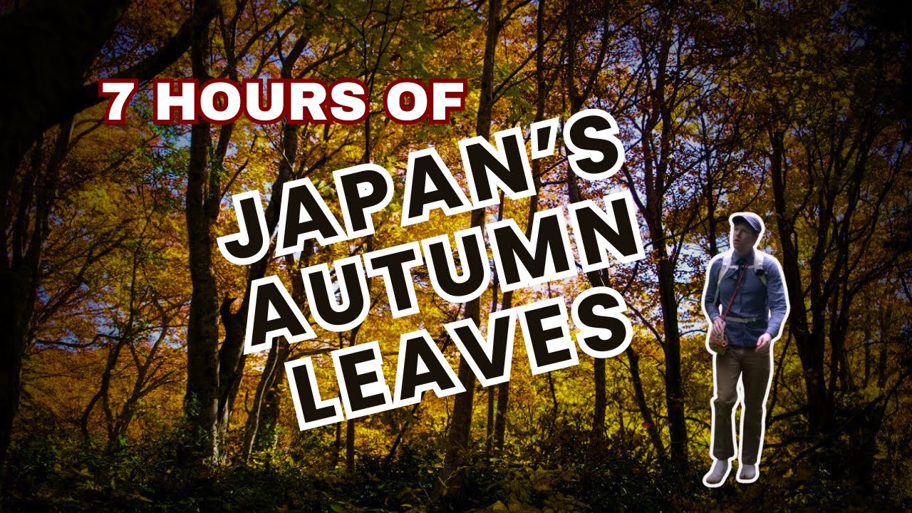 7-Hour hike of Japan's Autumn Leaves