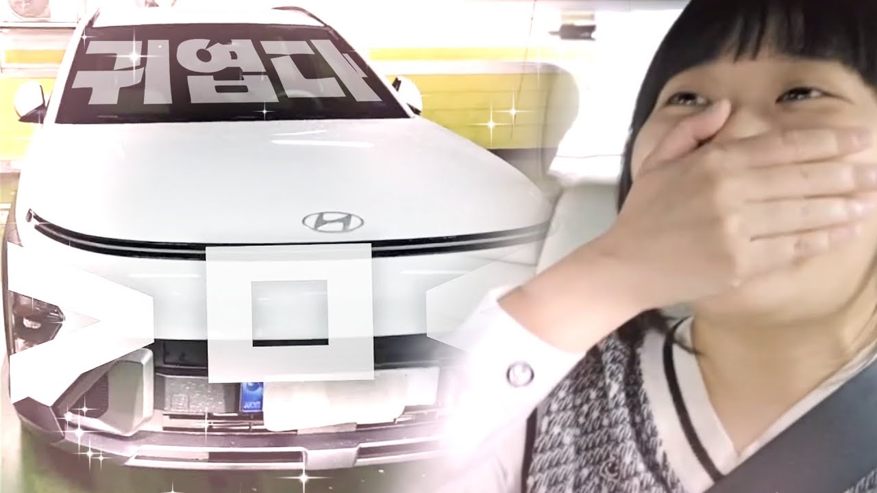 코나가 너무 귀엽습니다!