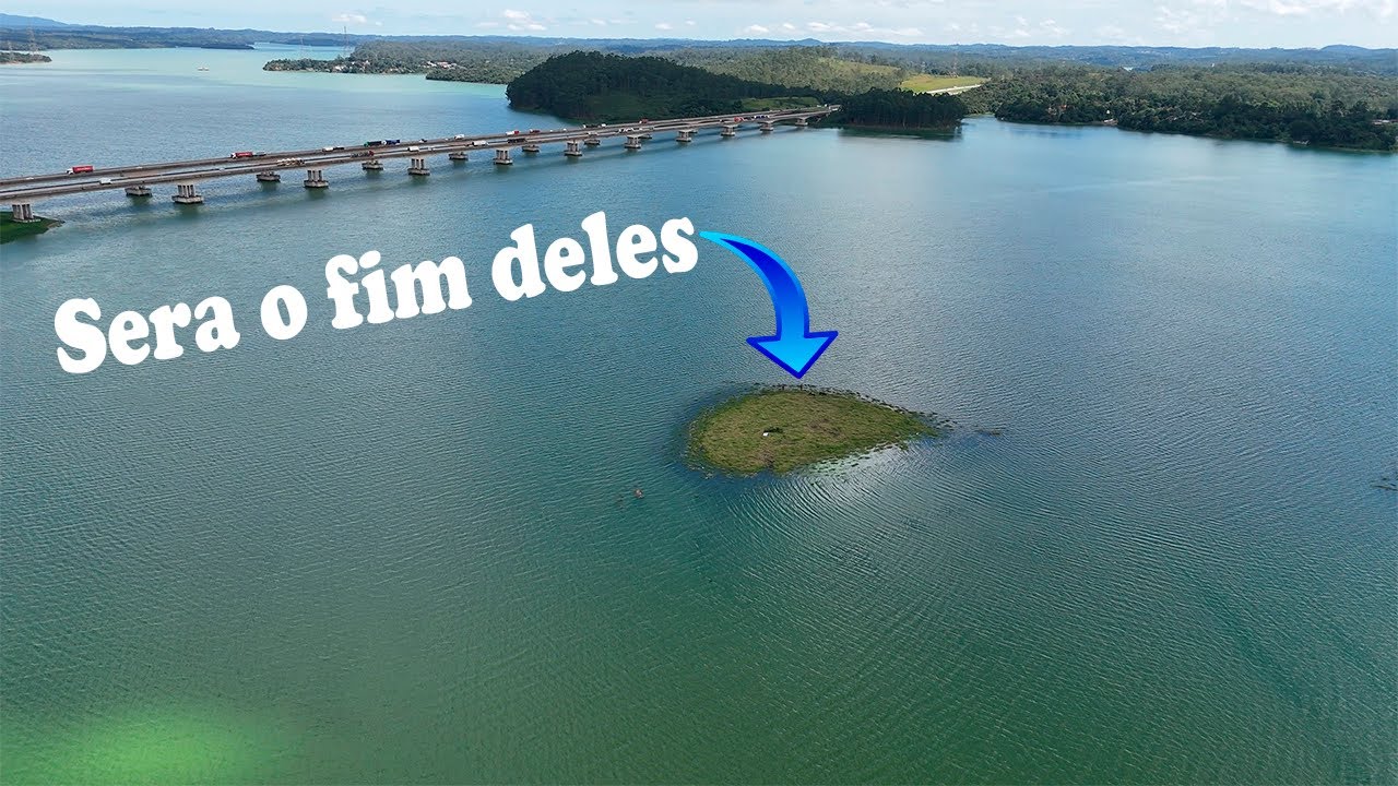 Só com DRONE pra FLAGRAR isso, inacreditavel