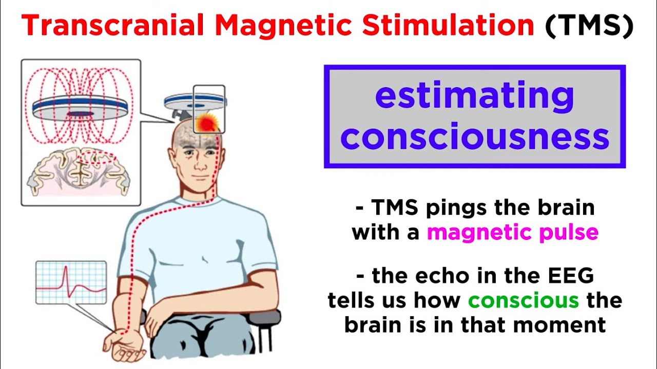 The Biopsychology of Consciousness