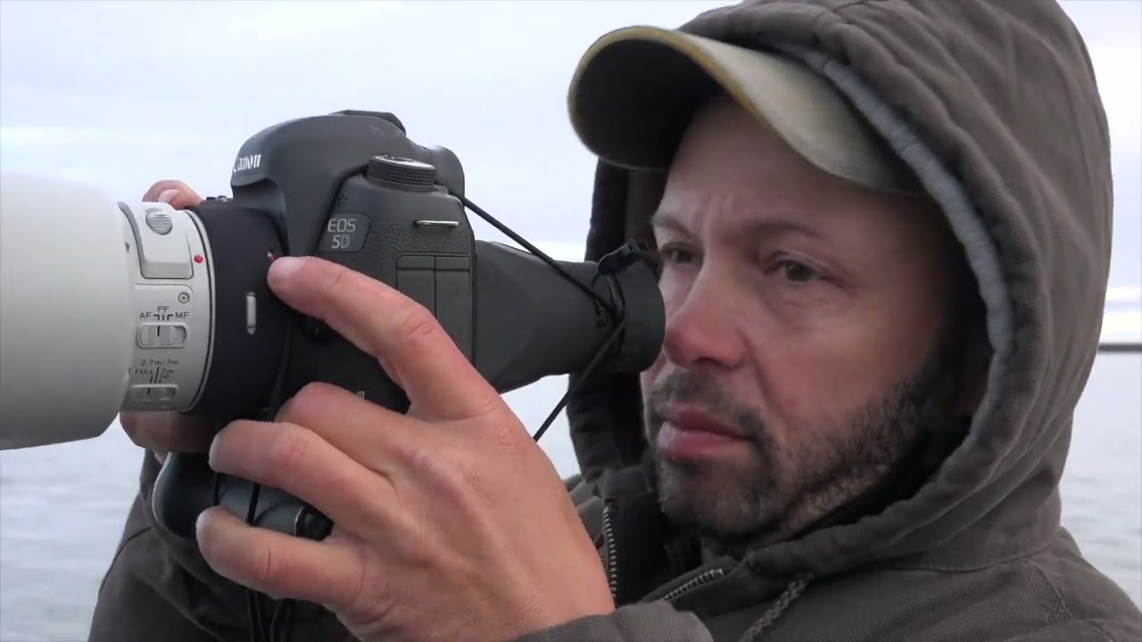 Polar Bears: Documenting Their Warming World