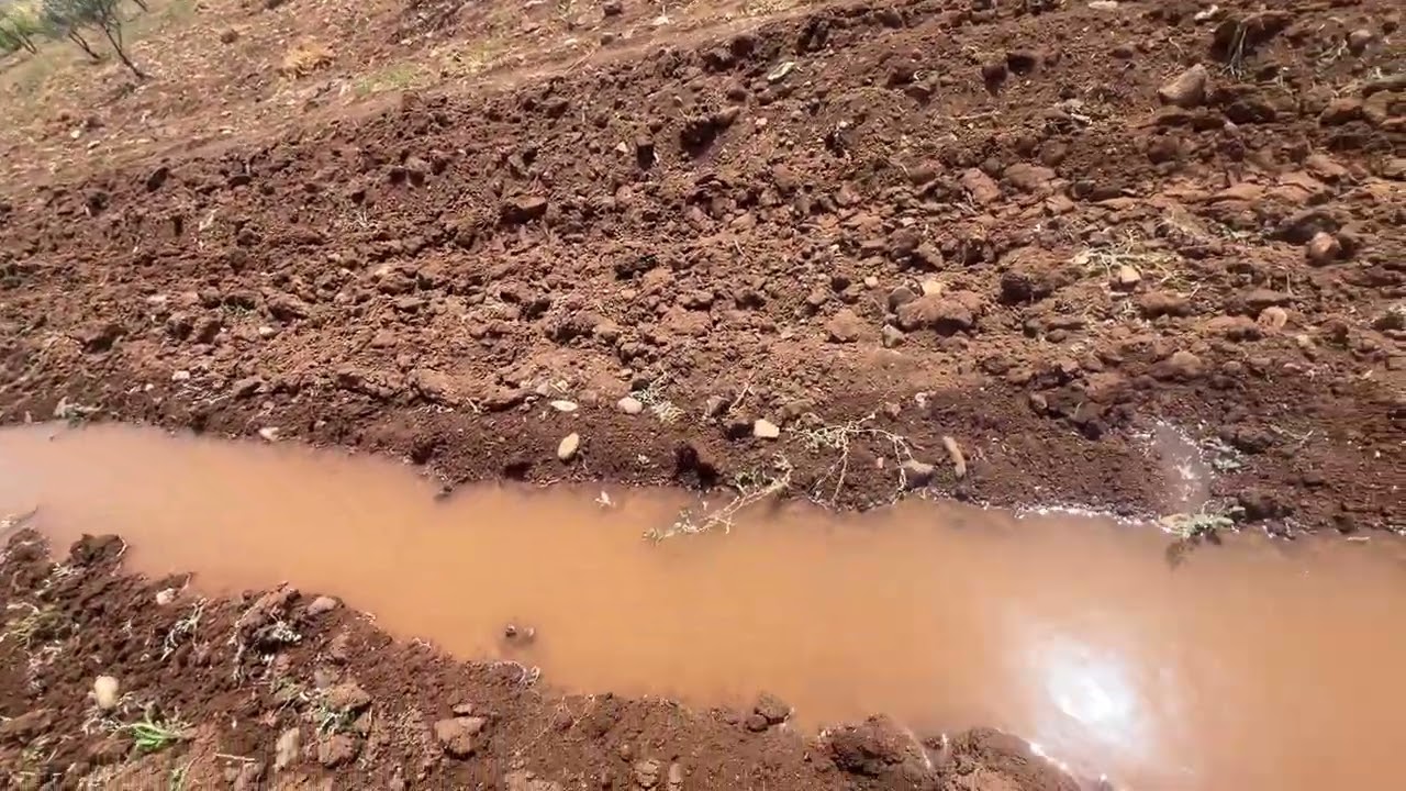 ‏الفيديو كتير حلو شوفوا شو زارعين عنا بجول🍅🌶️🍉🫜