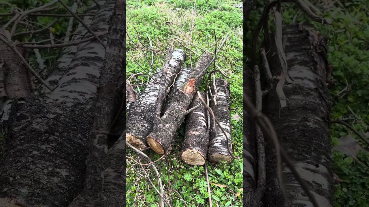 Испытываю свою новую садовую игрушку.