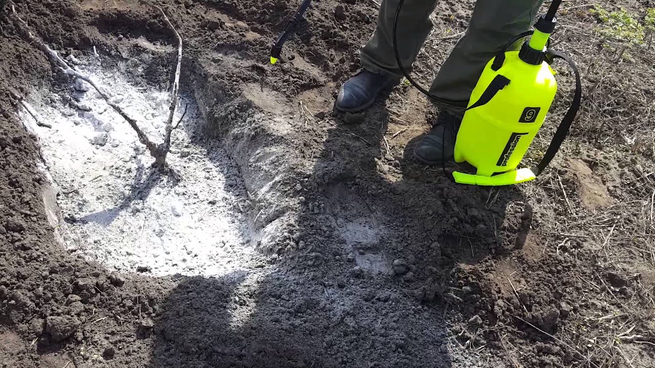 Опрыскиватель MAROLEX на 9 литров, тест на винограднике