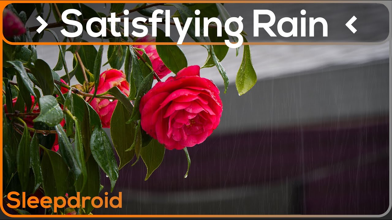 ► Satisfying Rain Video: Relaxing Rain Sounds for Sleeping