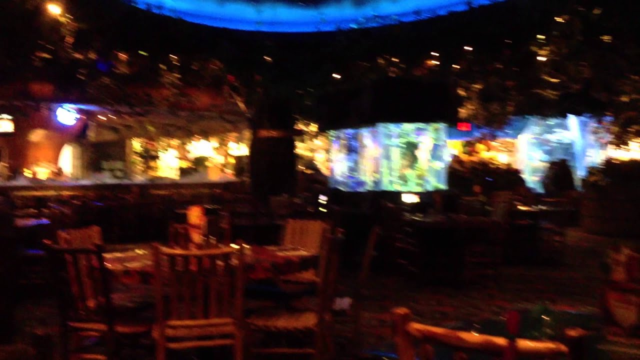 rainforest cafe 10 9 12