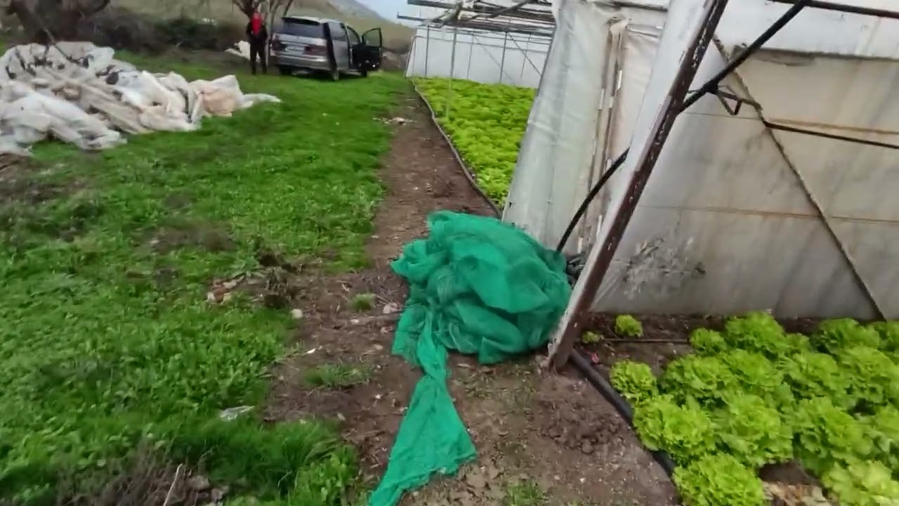 ЕКО и висококачествена храна в на трапезата.Има ли я?