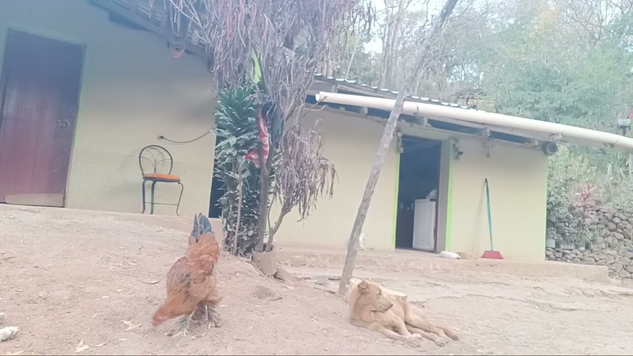 77 years old and with NO PENSION...!!