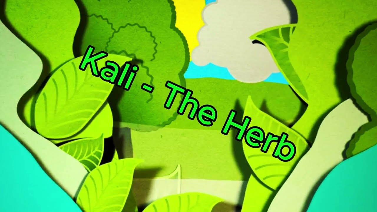 Kali - The Herb (Official Music Video)