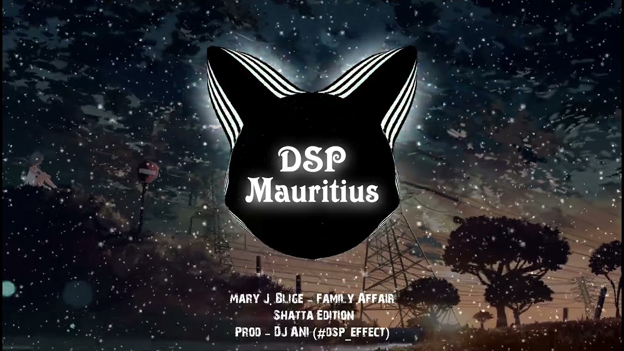 Mary J. Blige - Family Affair | Shatta Edition l Prod - @anipursun  (#dsp_effect)