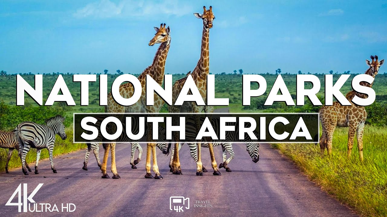 Top 10 Most Beautiful National Parks in South Africa - Travel Guide 2024