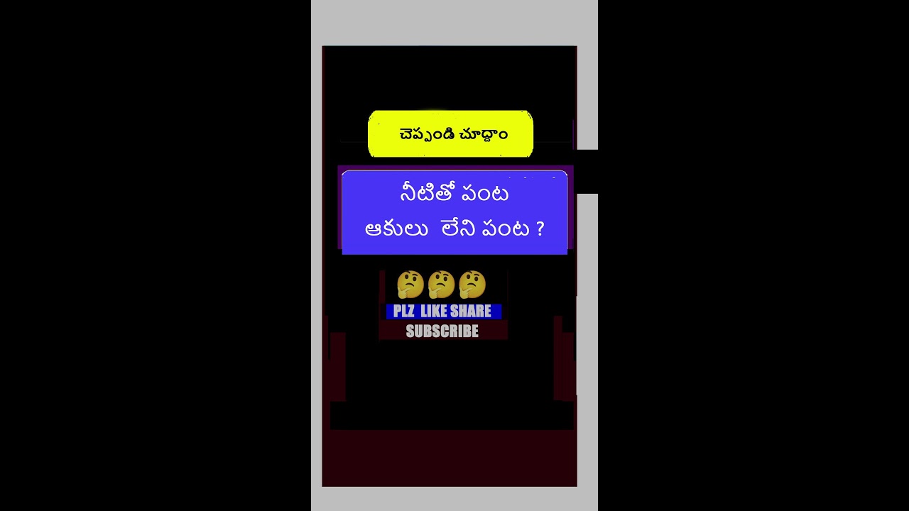 LIVE WITH VAMSI