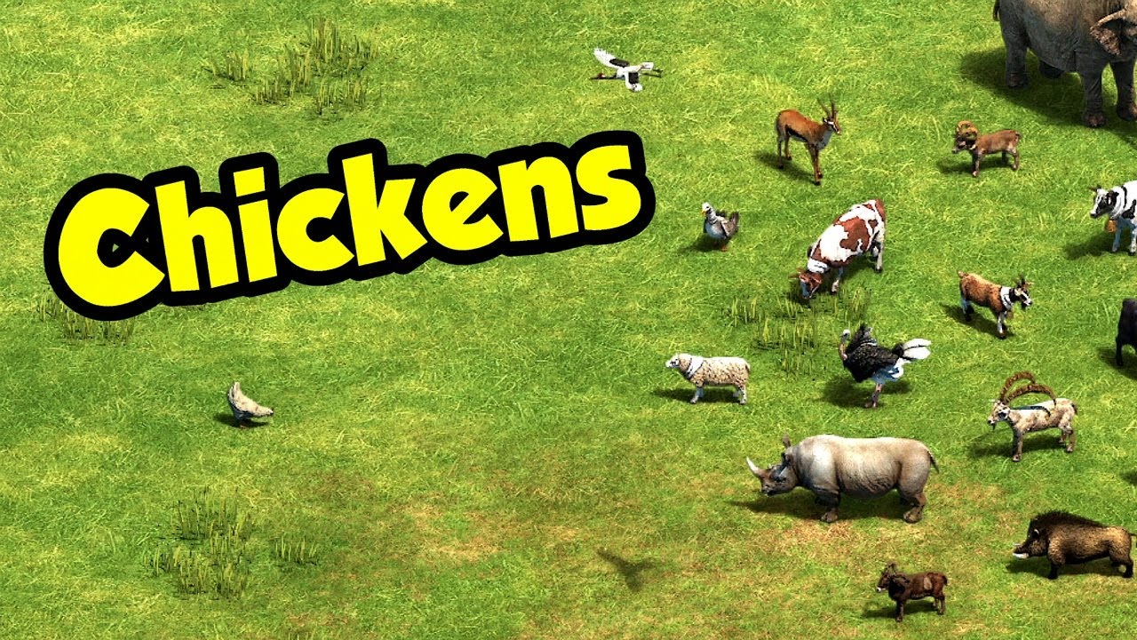 Chickens vs other early food sources (AoE2)