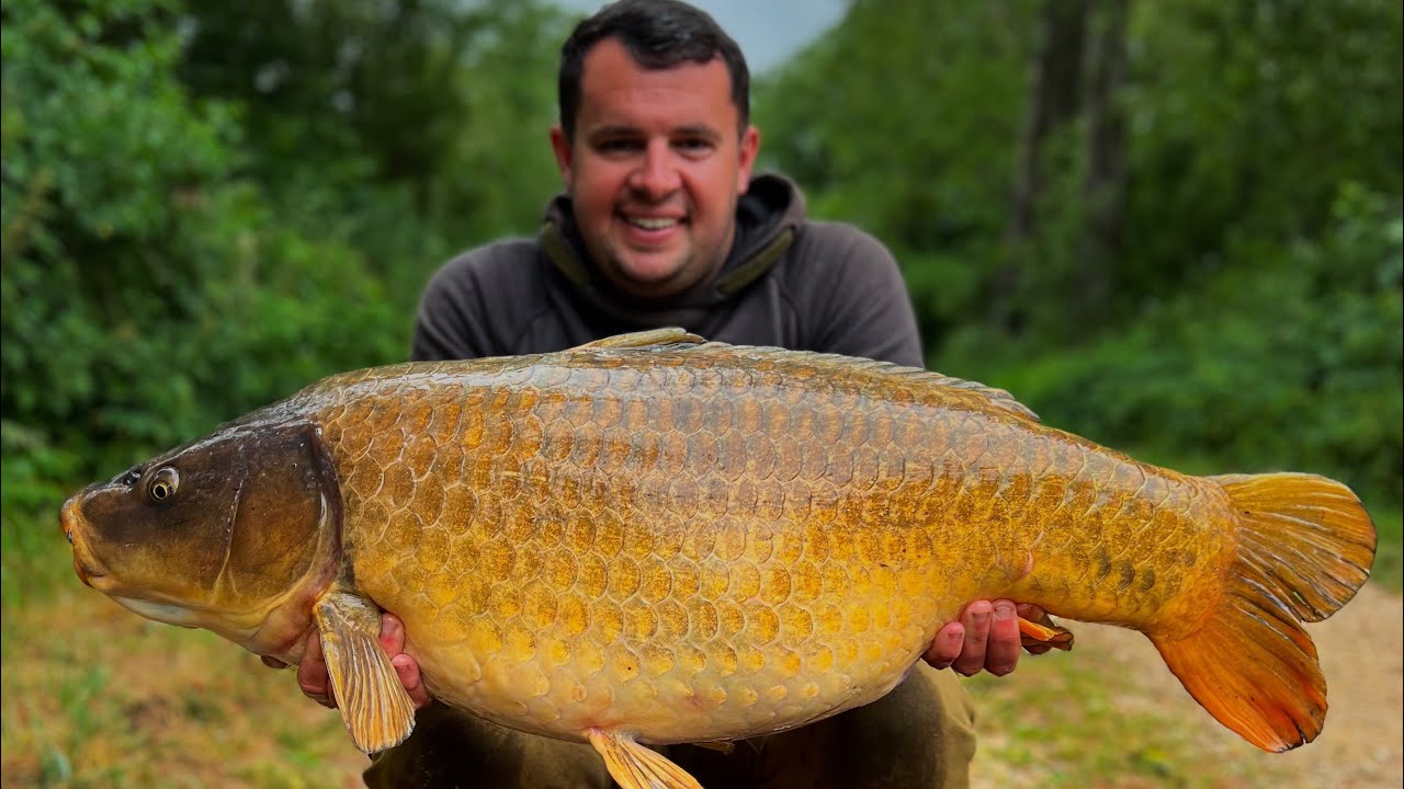ANOTHER NEW PERSONAL BEST!!!! One of Oxfordshires biggest Ghost carp!