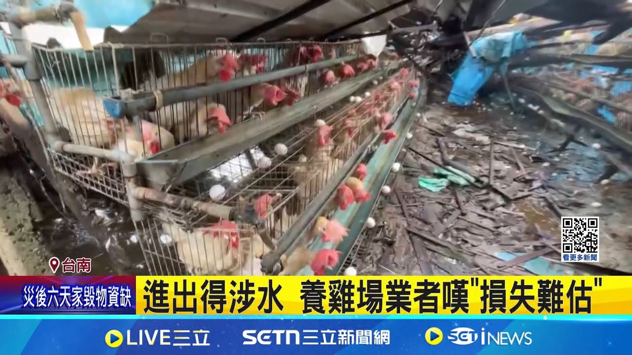 趁放晴清理家園 災民嘆缺電缺物資 進出得涉水 養雞場業者嘆"損失難估" 台電人員續搶修 發電機.臨時充電站"補血"│記者 洪榮斌 翁郁雯│新聞一把抓20250711│三立新聞台