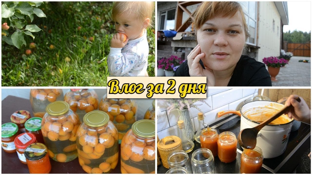 За что хвататься? 3 ТОРТА ЗА НЕДЕЛЮ! / Перерабатываю УРОЖАЙ / Варю самое вкусное ПОВИДЛО