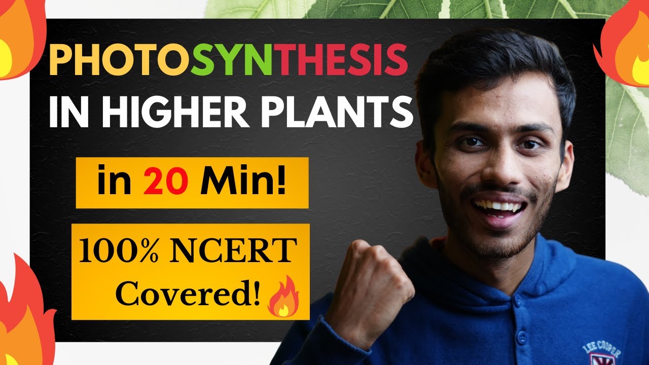 Photosynthesis in Higher Plants FAST One SHOT!🔥 | Fast Revision in 20 Min | Class 11 | NEET