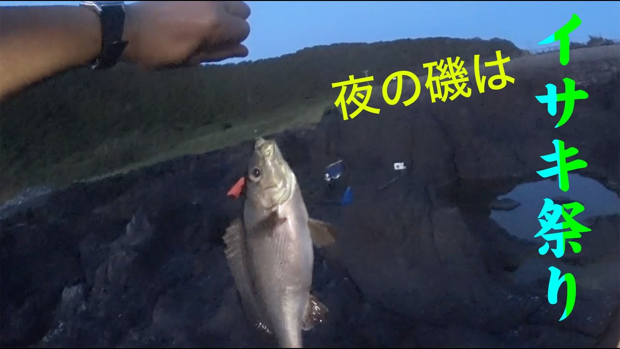 伊豆大島の夜の磯でイサキ祭り