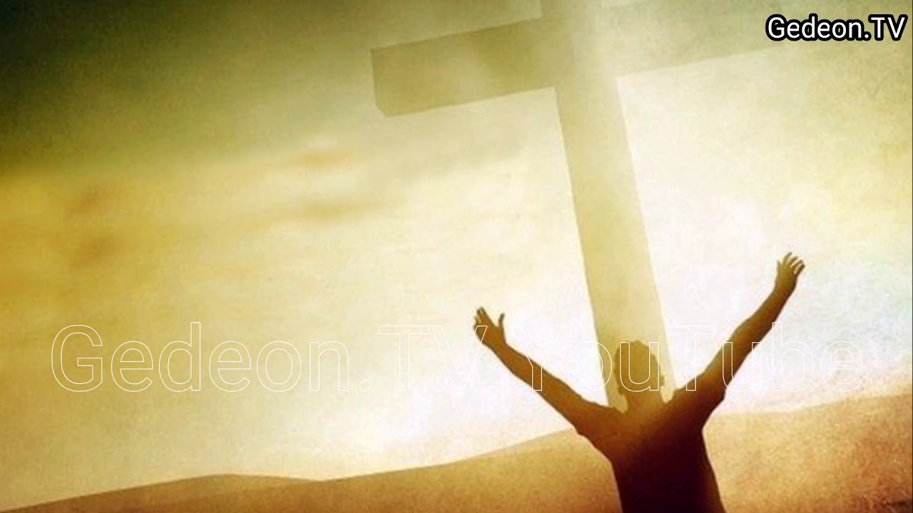 Свидетельство. У ворот небесных Говард Питтман