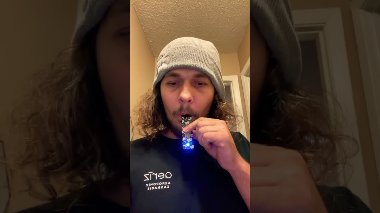 Lemon Cherry Terdz - Clout King